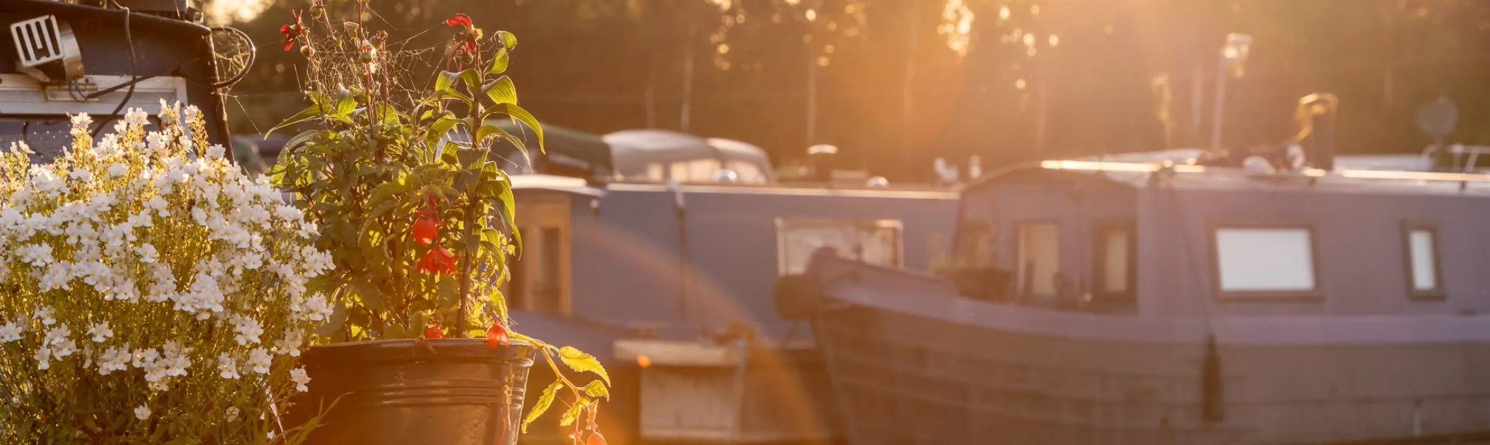 ROYDON GROUNDS 06990