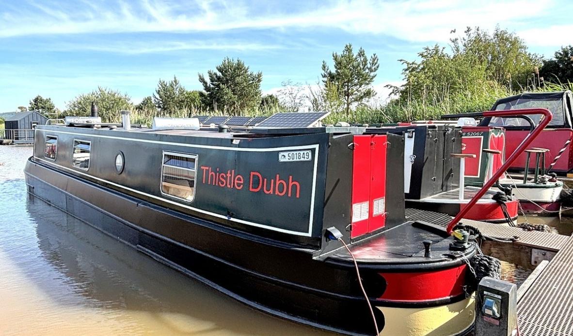 Thistle dubh 1