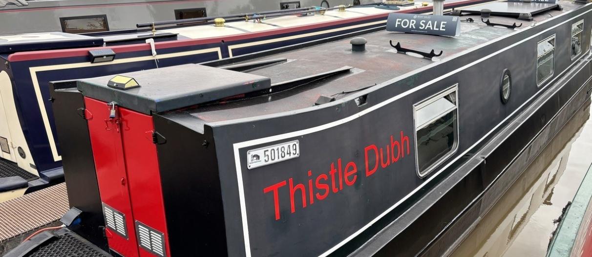 Thistle dubh 2