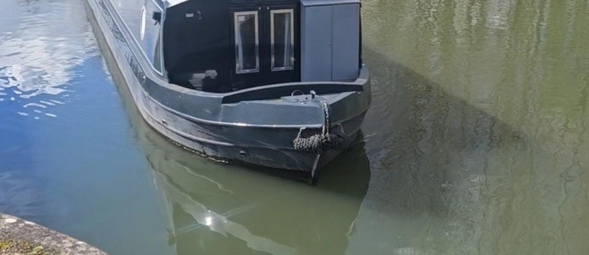 Bandit 46