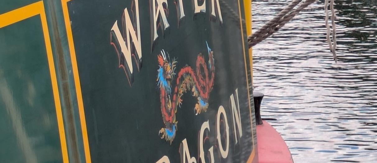 Water Dragon 2