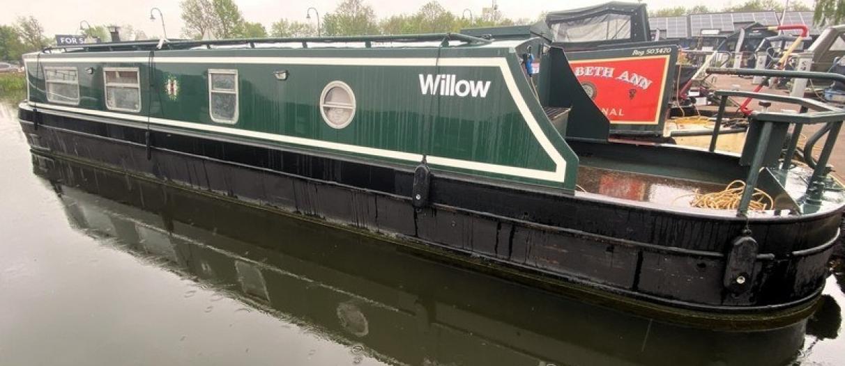 Willow 3