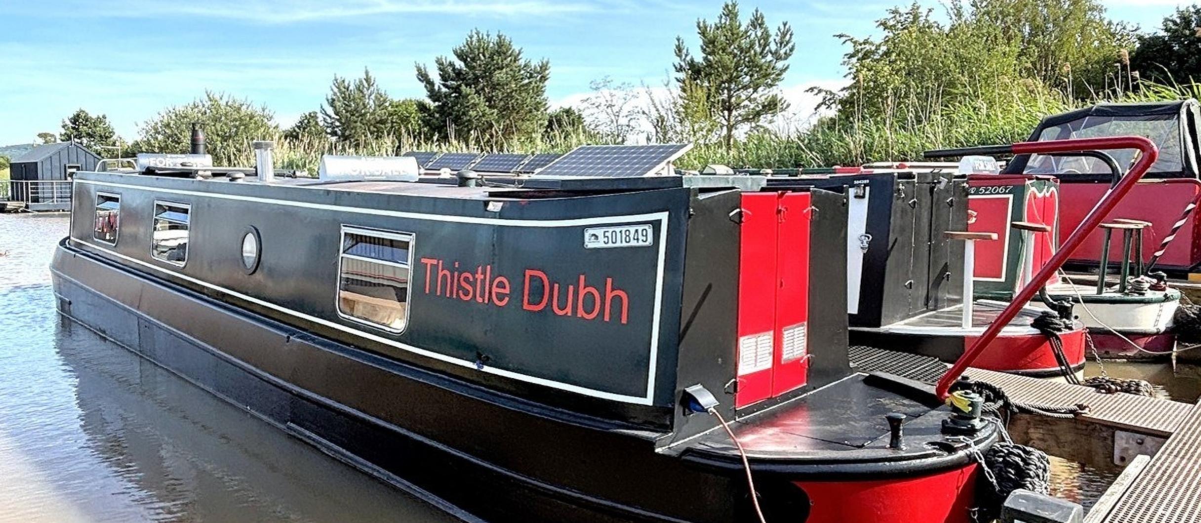 Thistle dubh 1