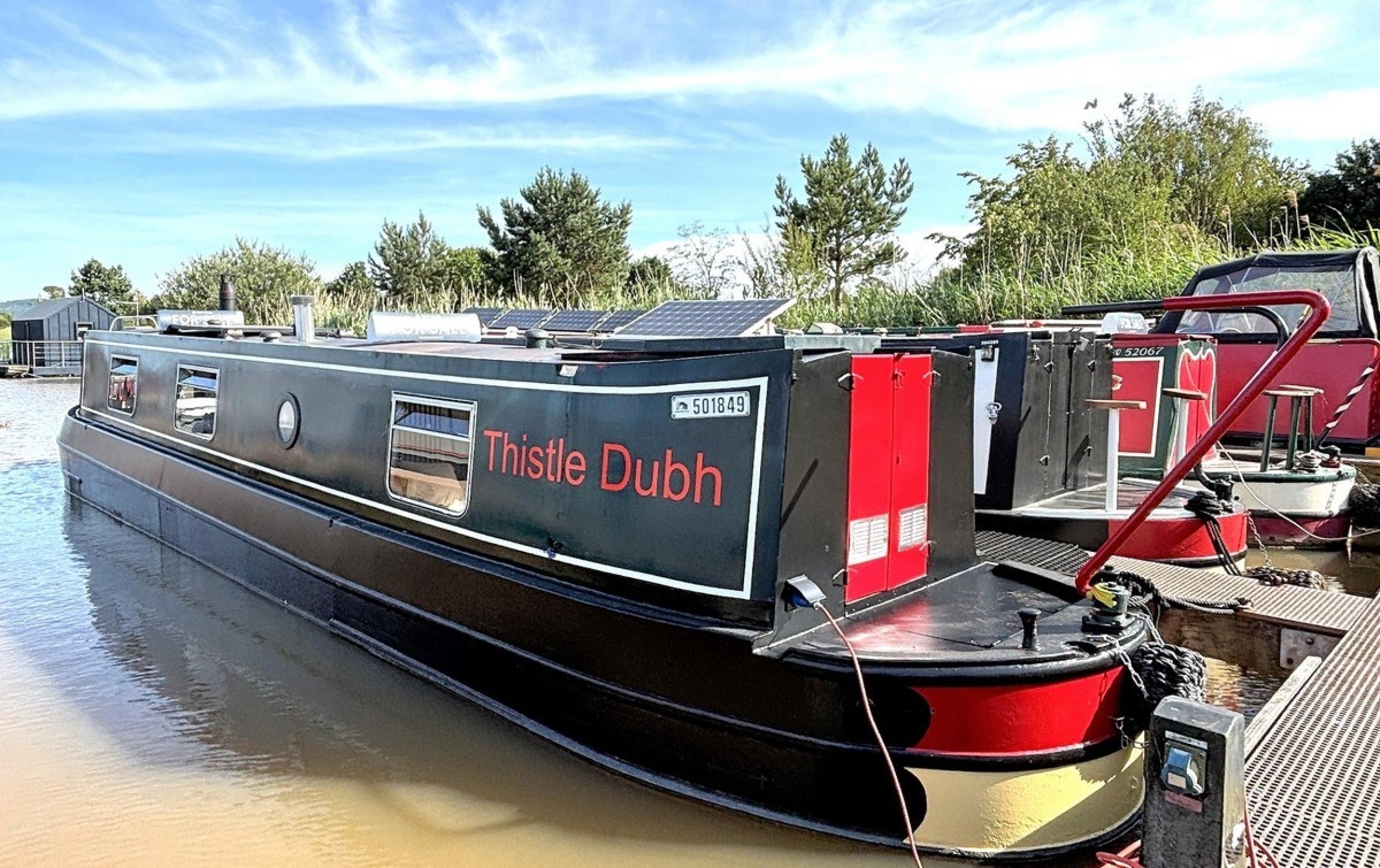 Thistle dubh 1