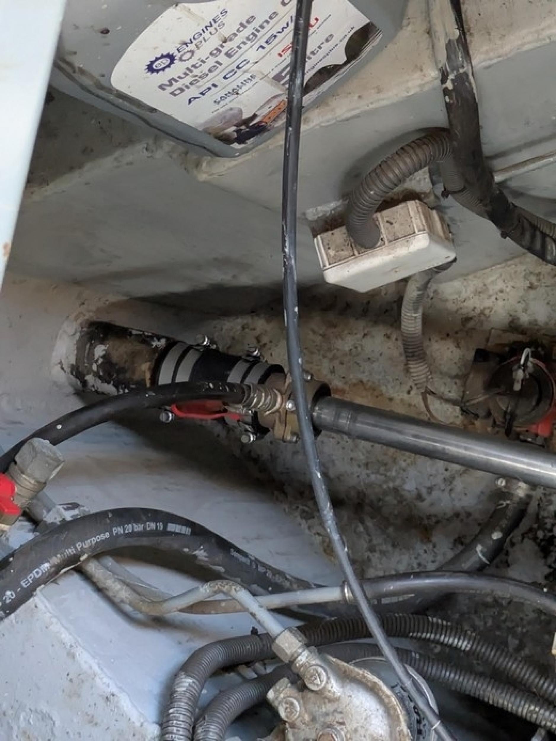 Holly 13