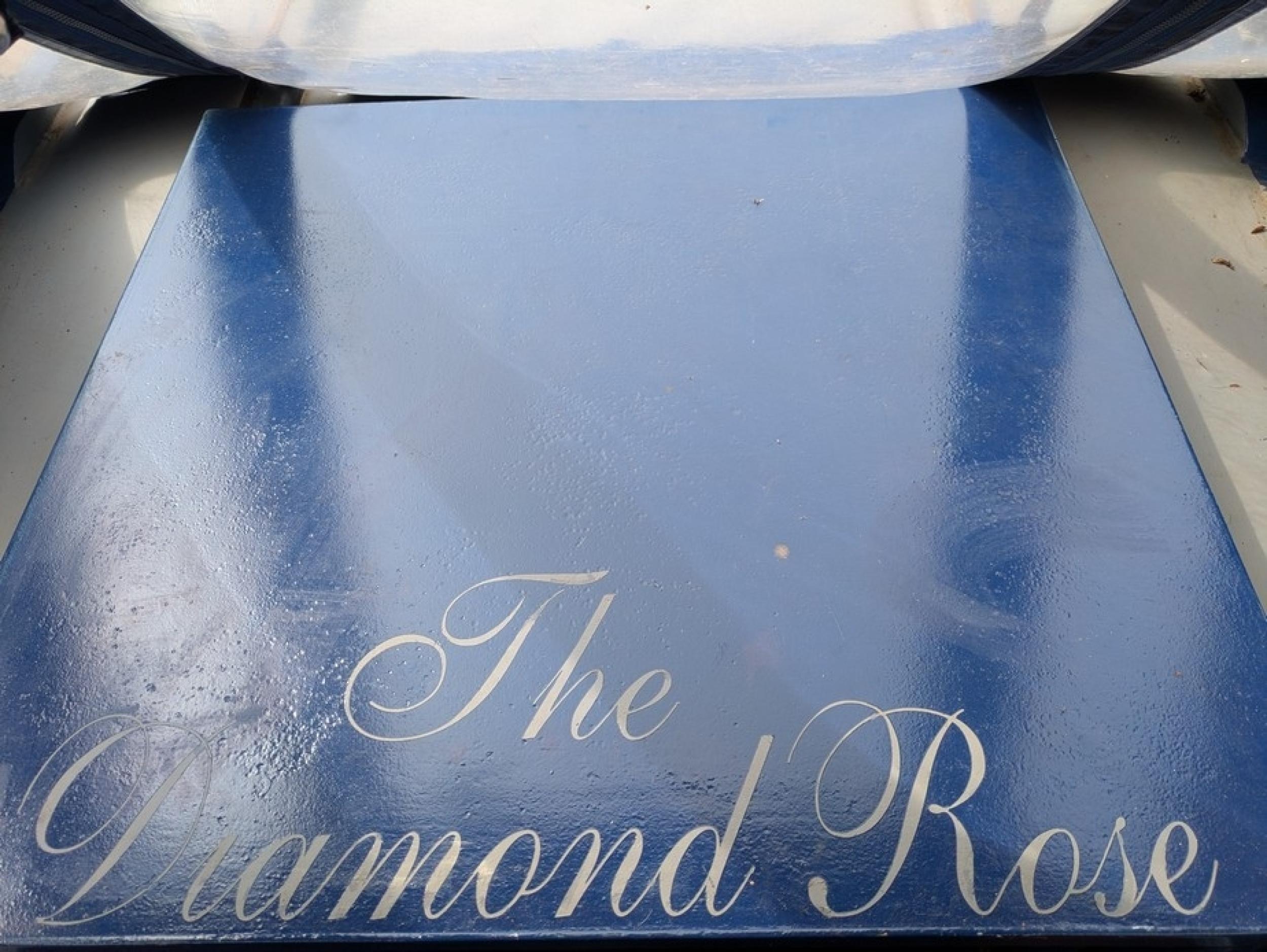 The diamond rose 16