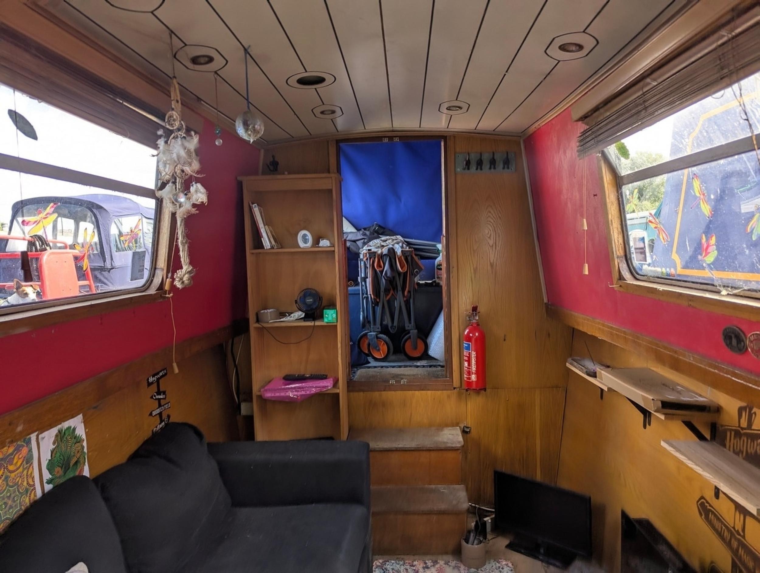 Whippet 13