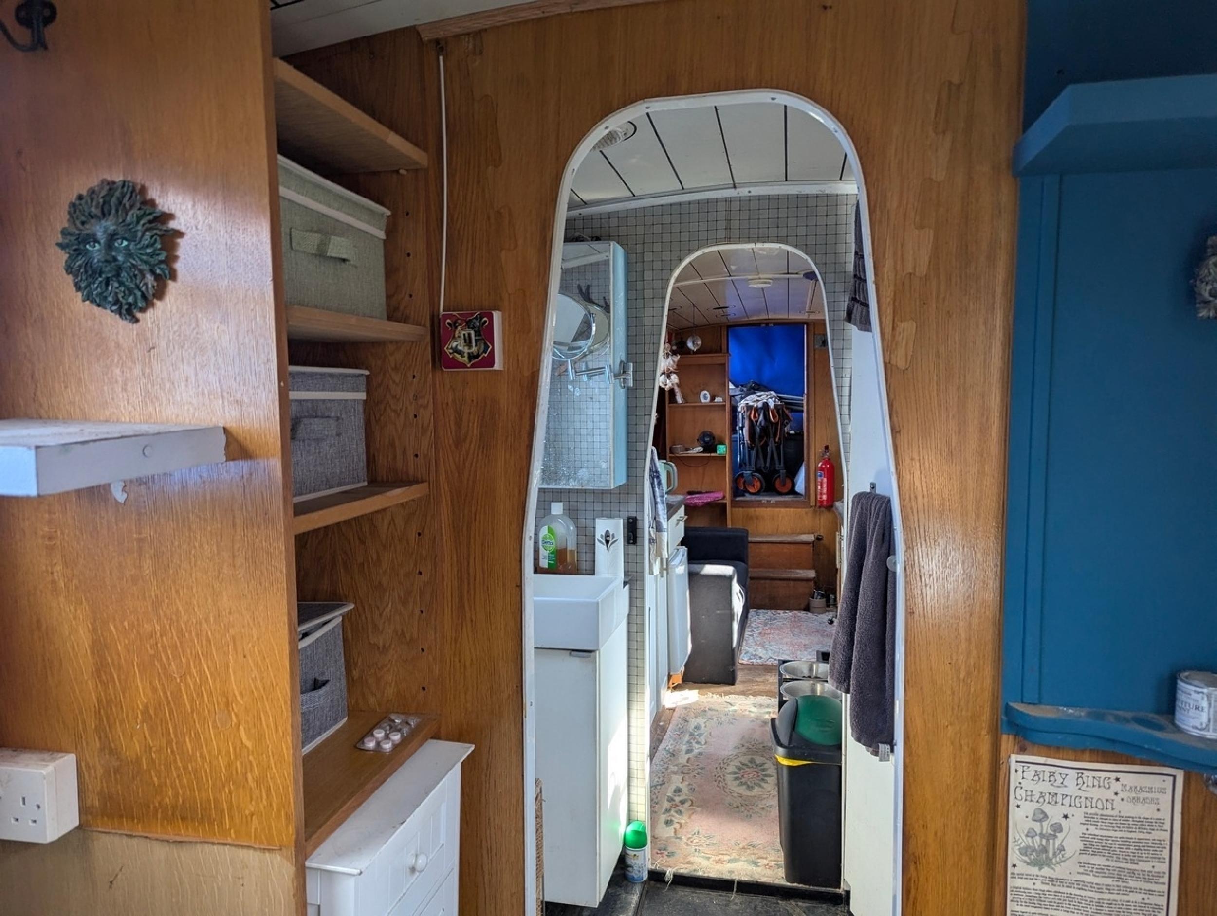Whippet 21
