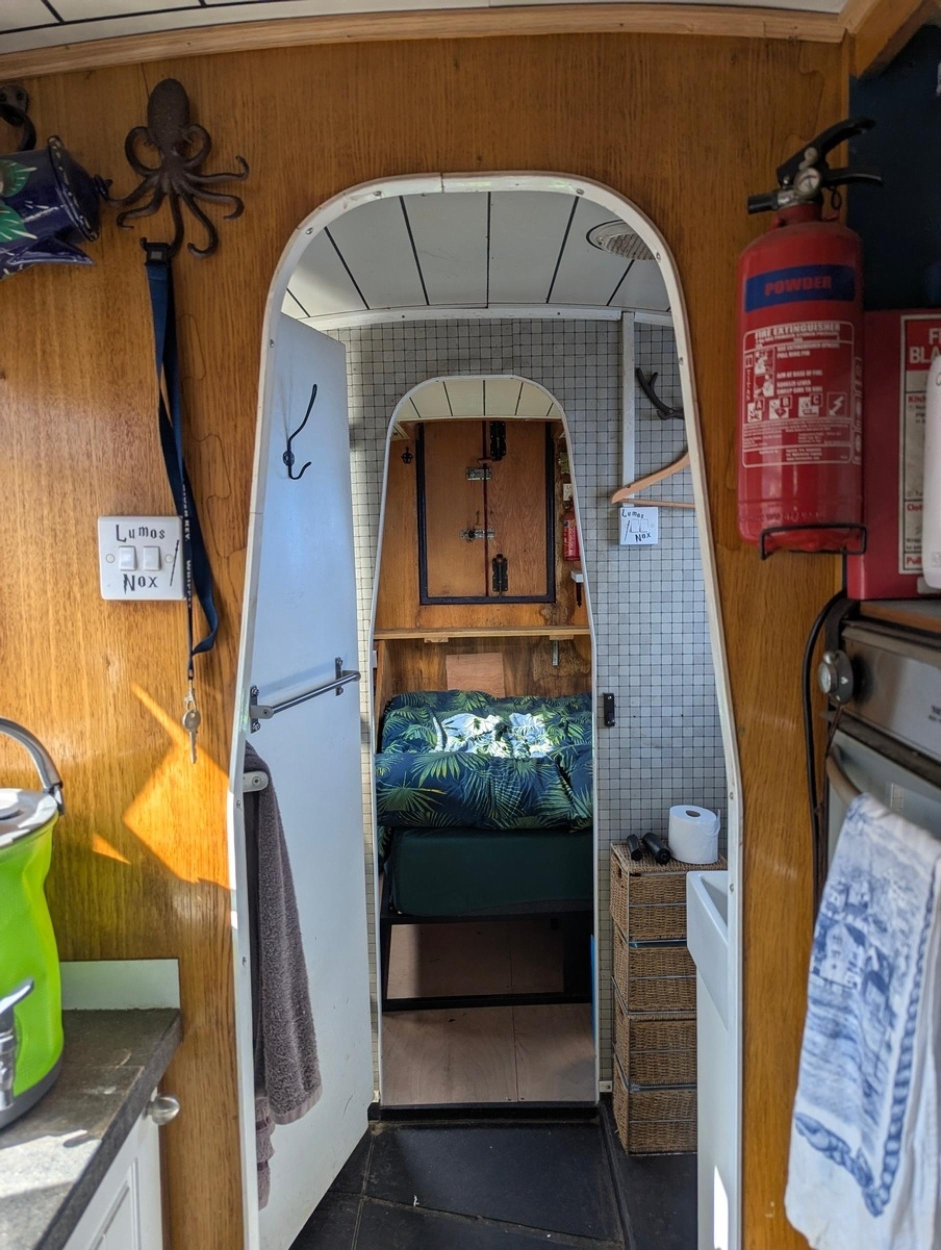 Whippet 9