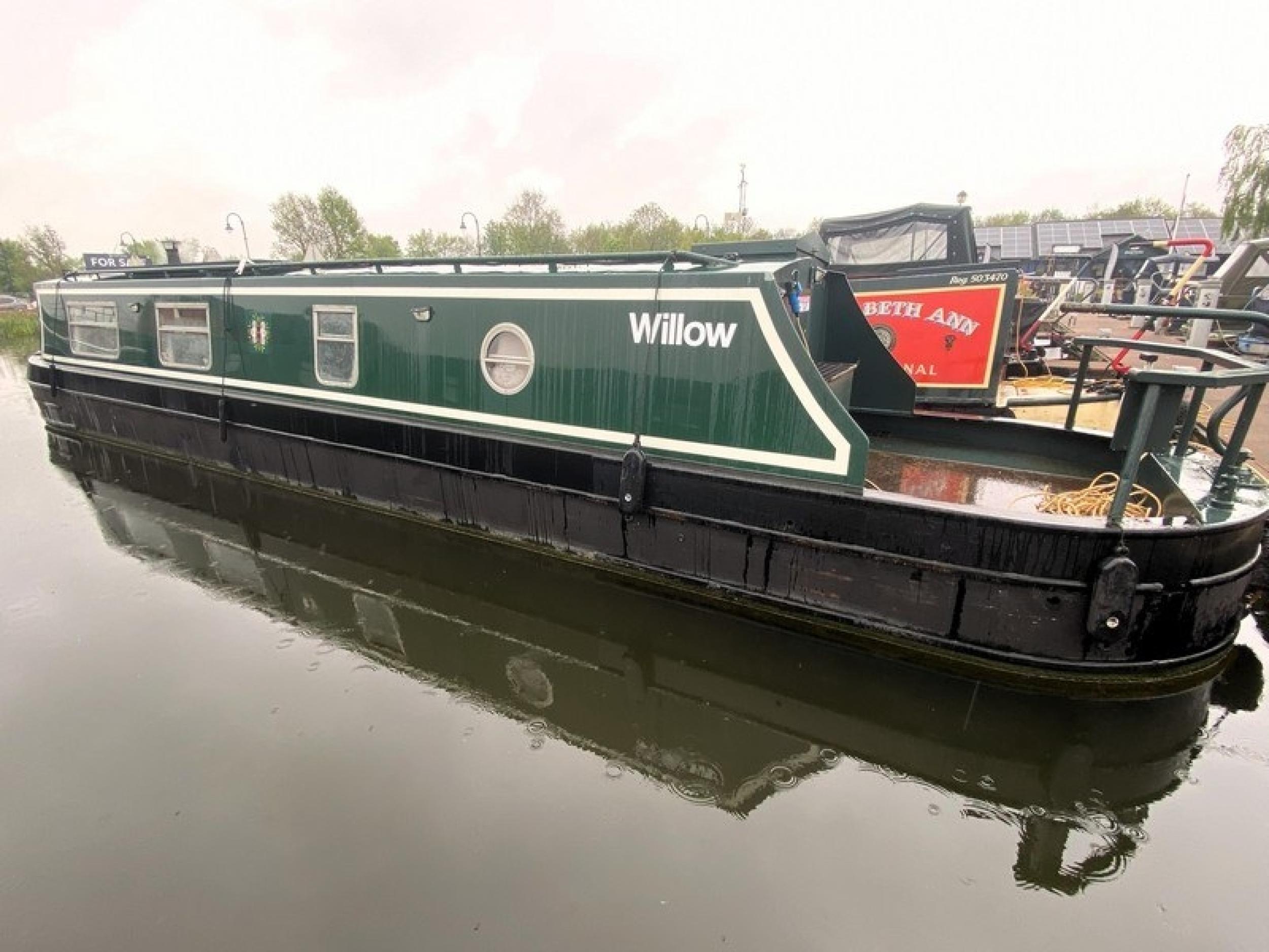 Willow 3