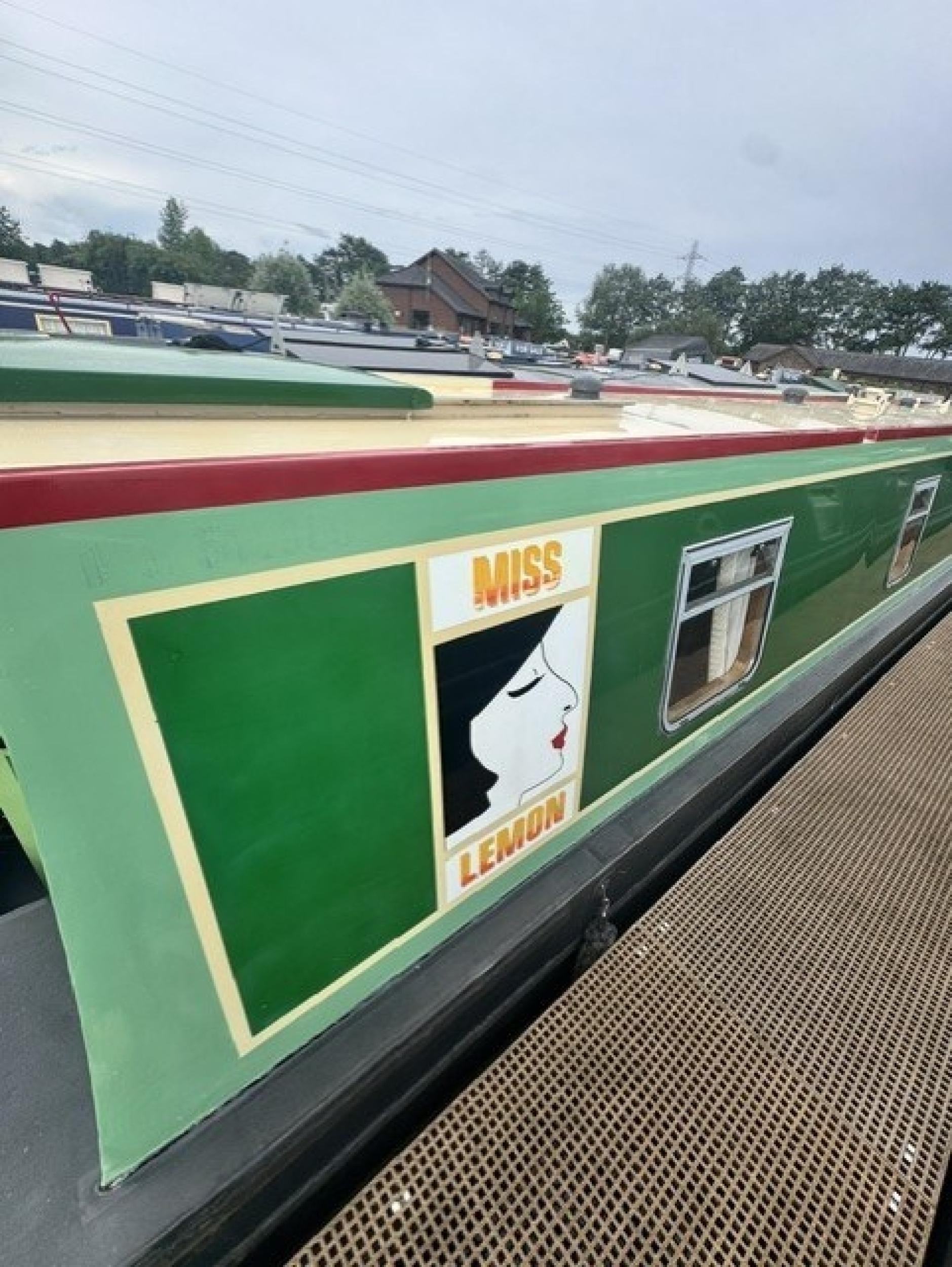 Miss lemon 30