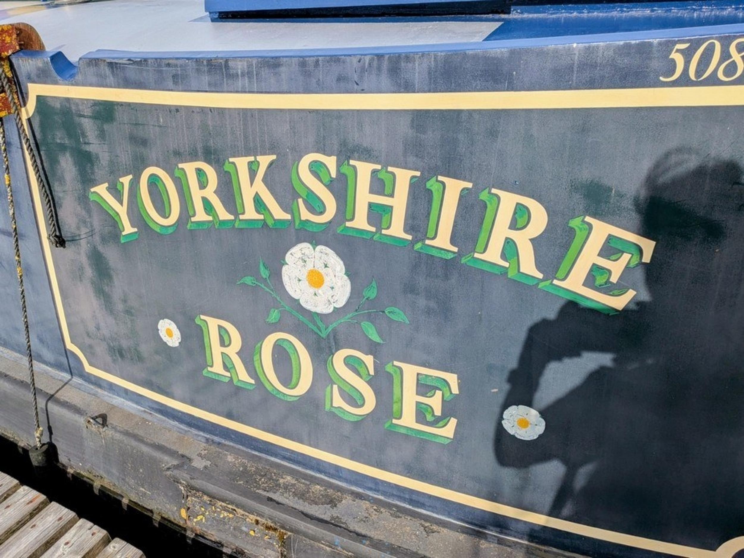 Yorkshire rose ch 12
