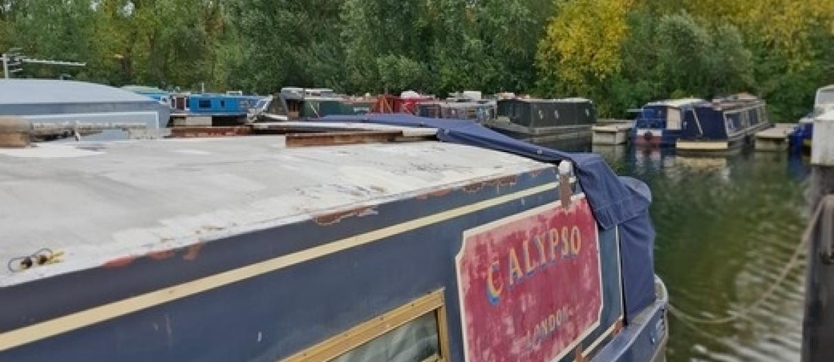 Calypso 52