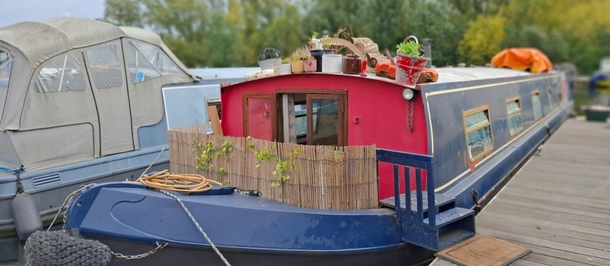 Calypso 47