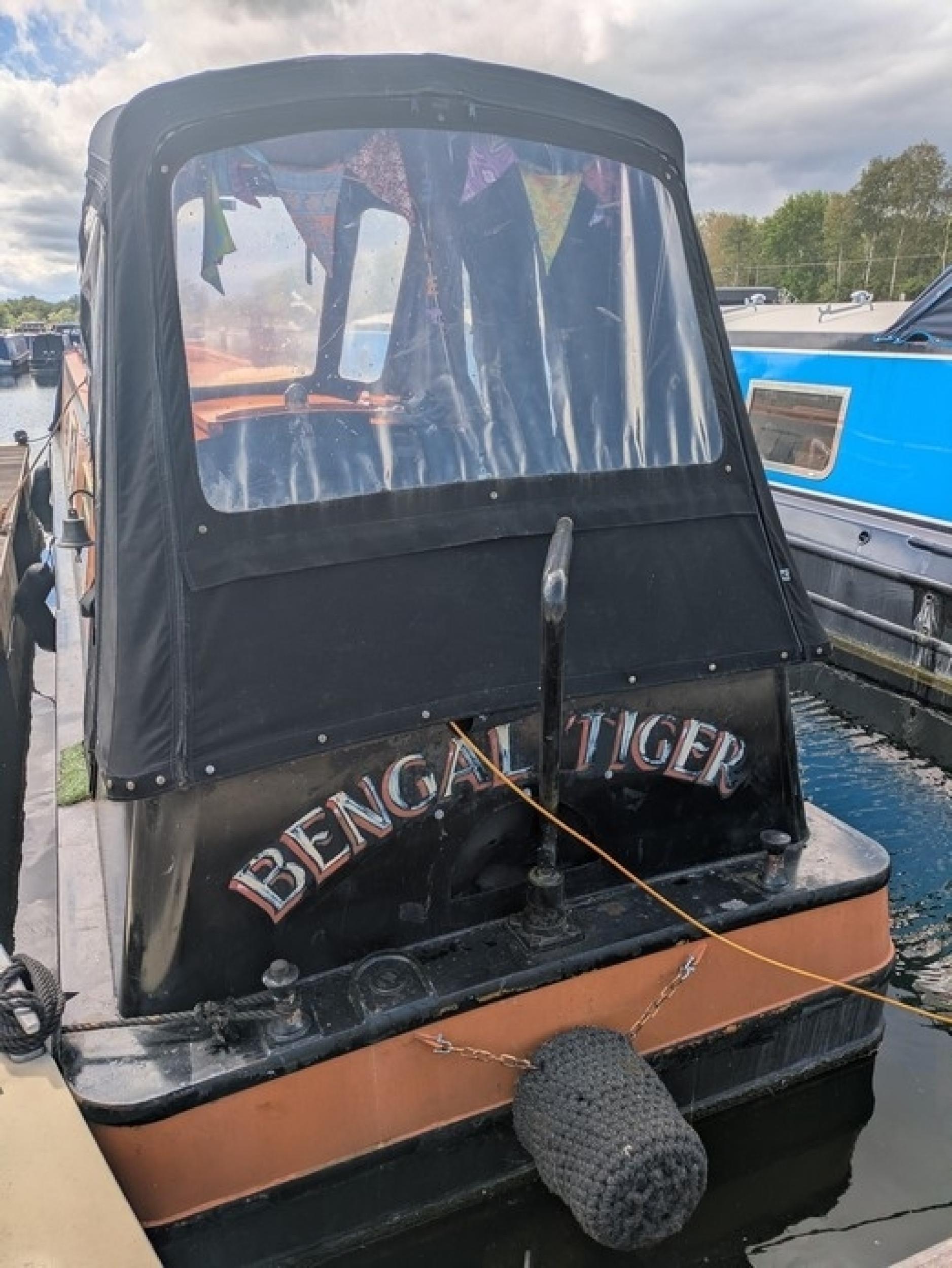 Bengal tiger rmv 3