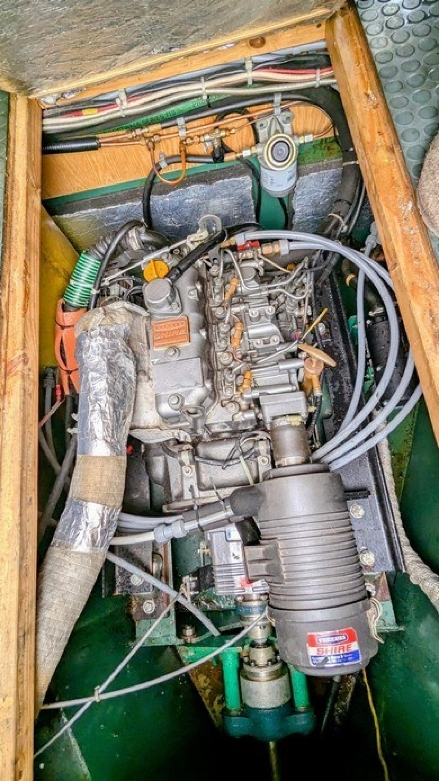 Bluebell 24