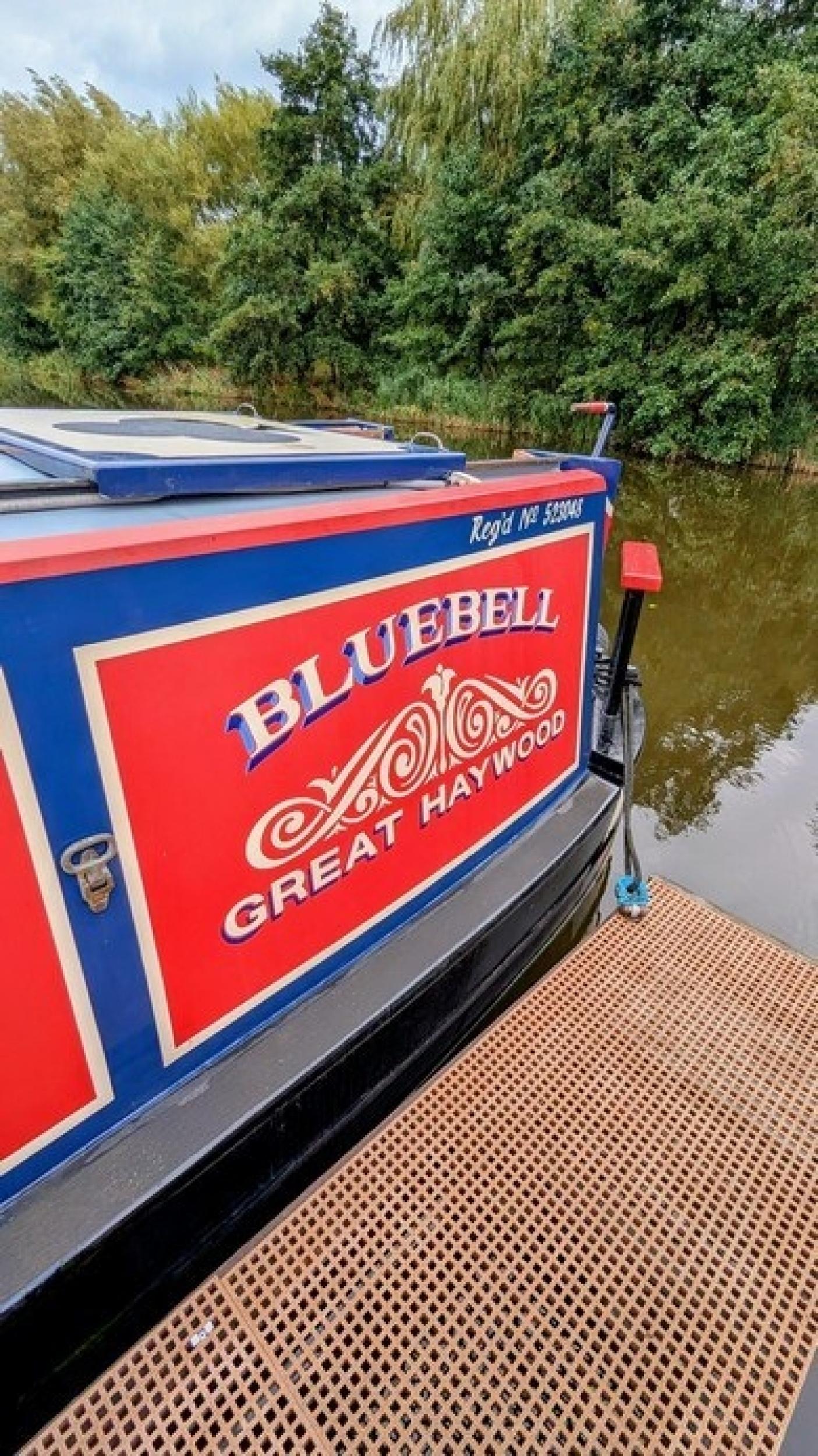 Bluebell 25