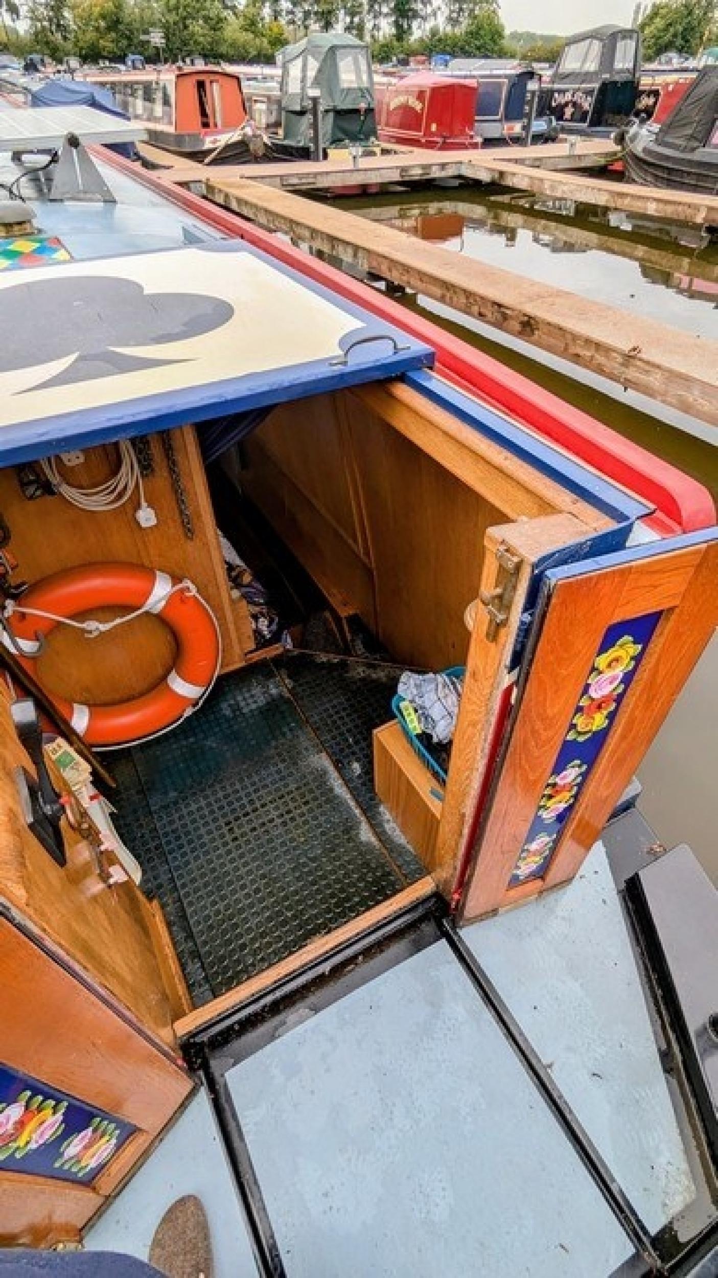 Bluebell 26