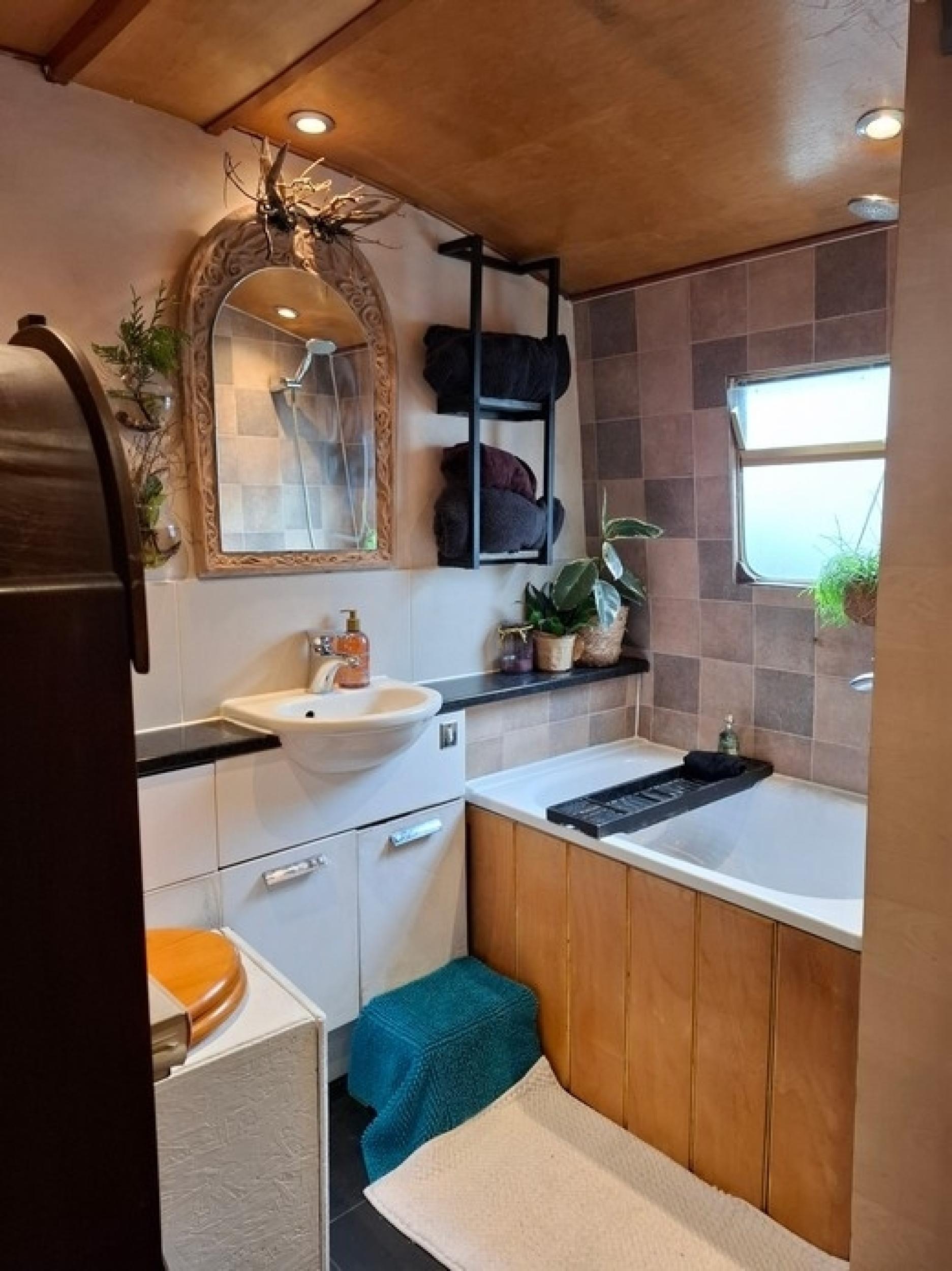Calypso 20