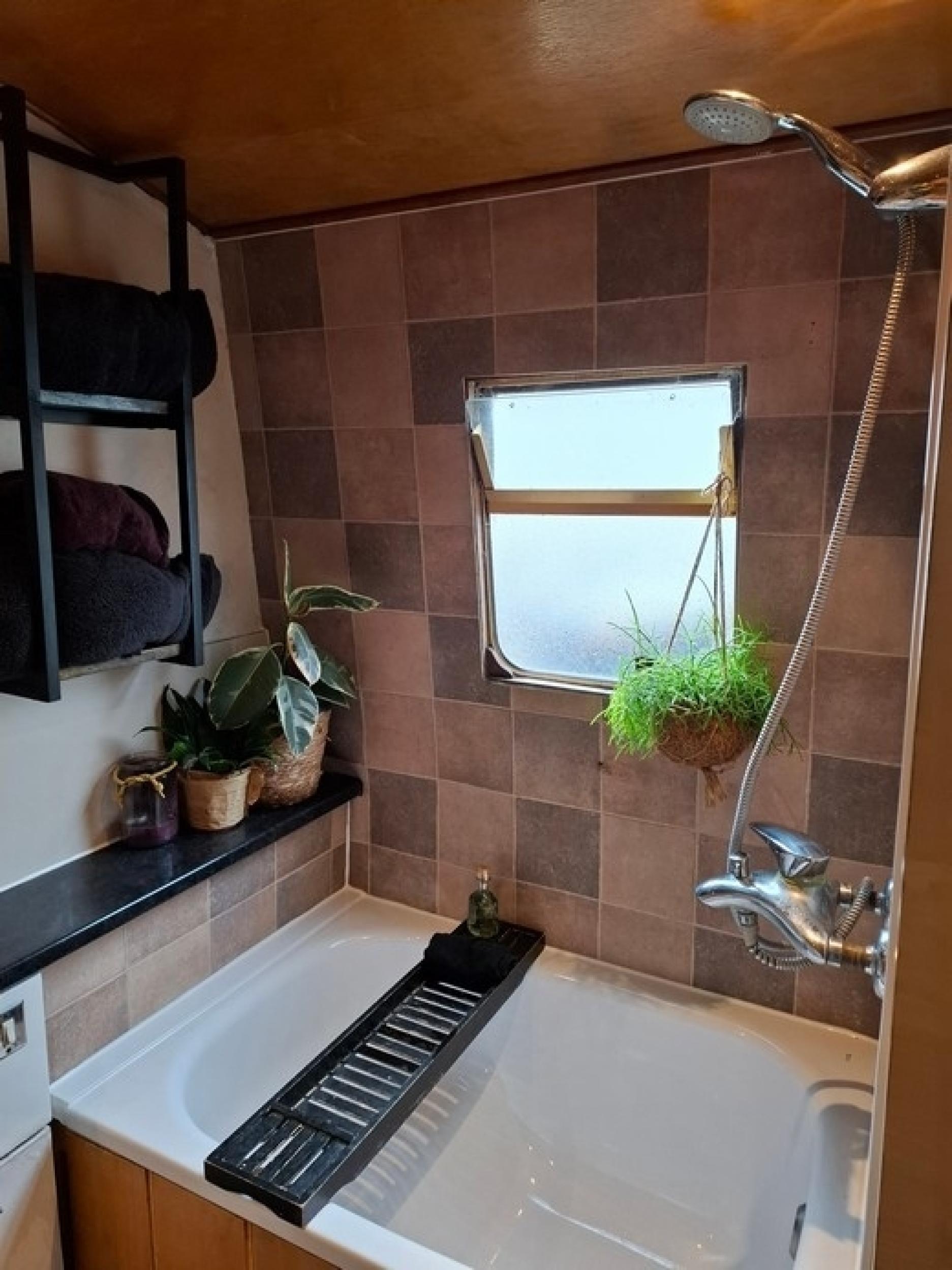 Calypso 23
