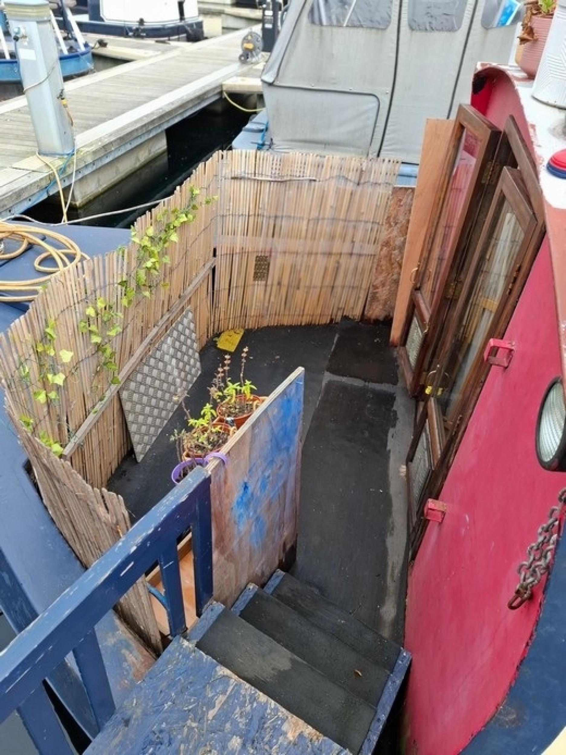 Calypso 45