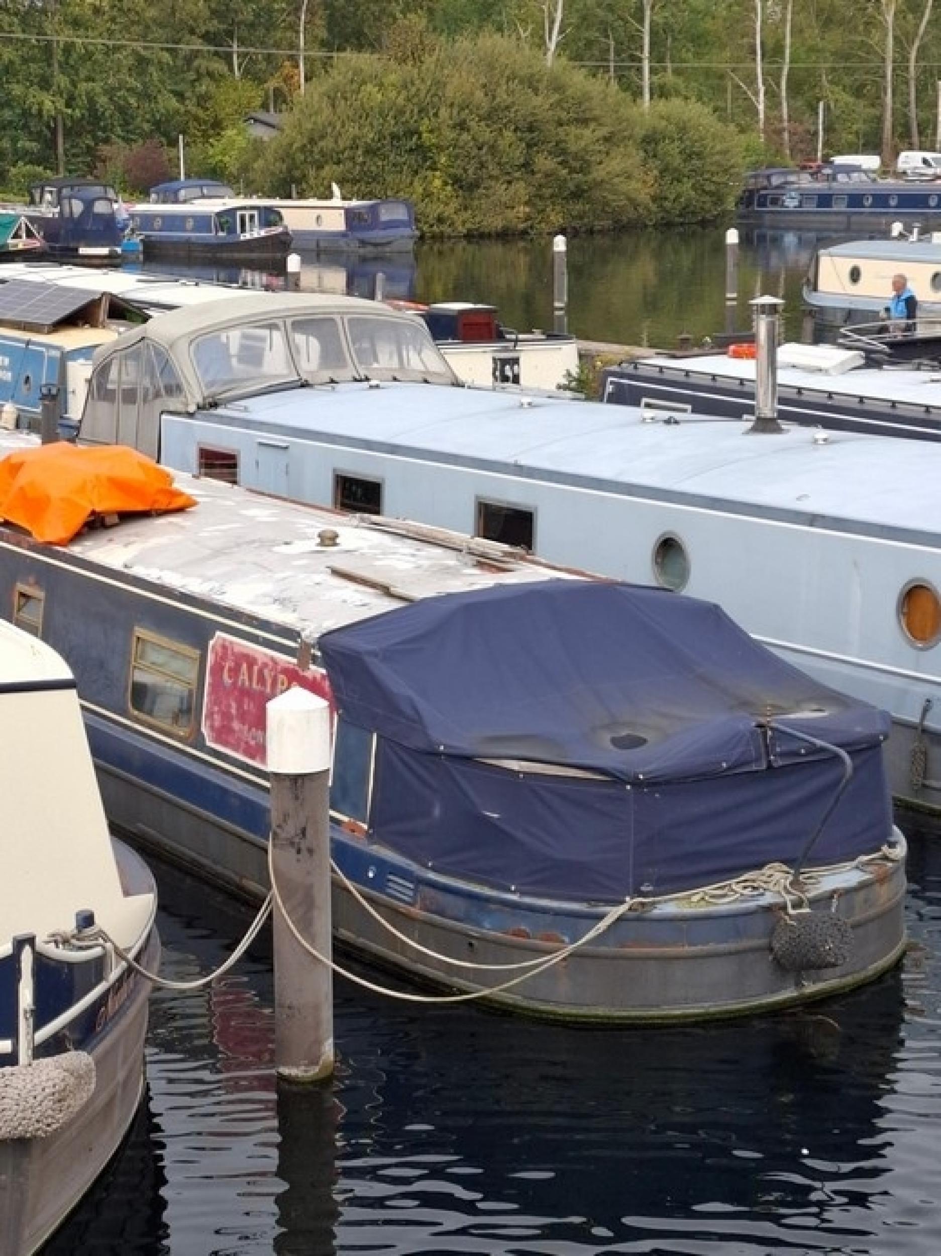 Calypso 49