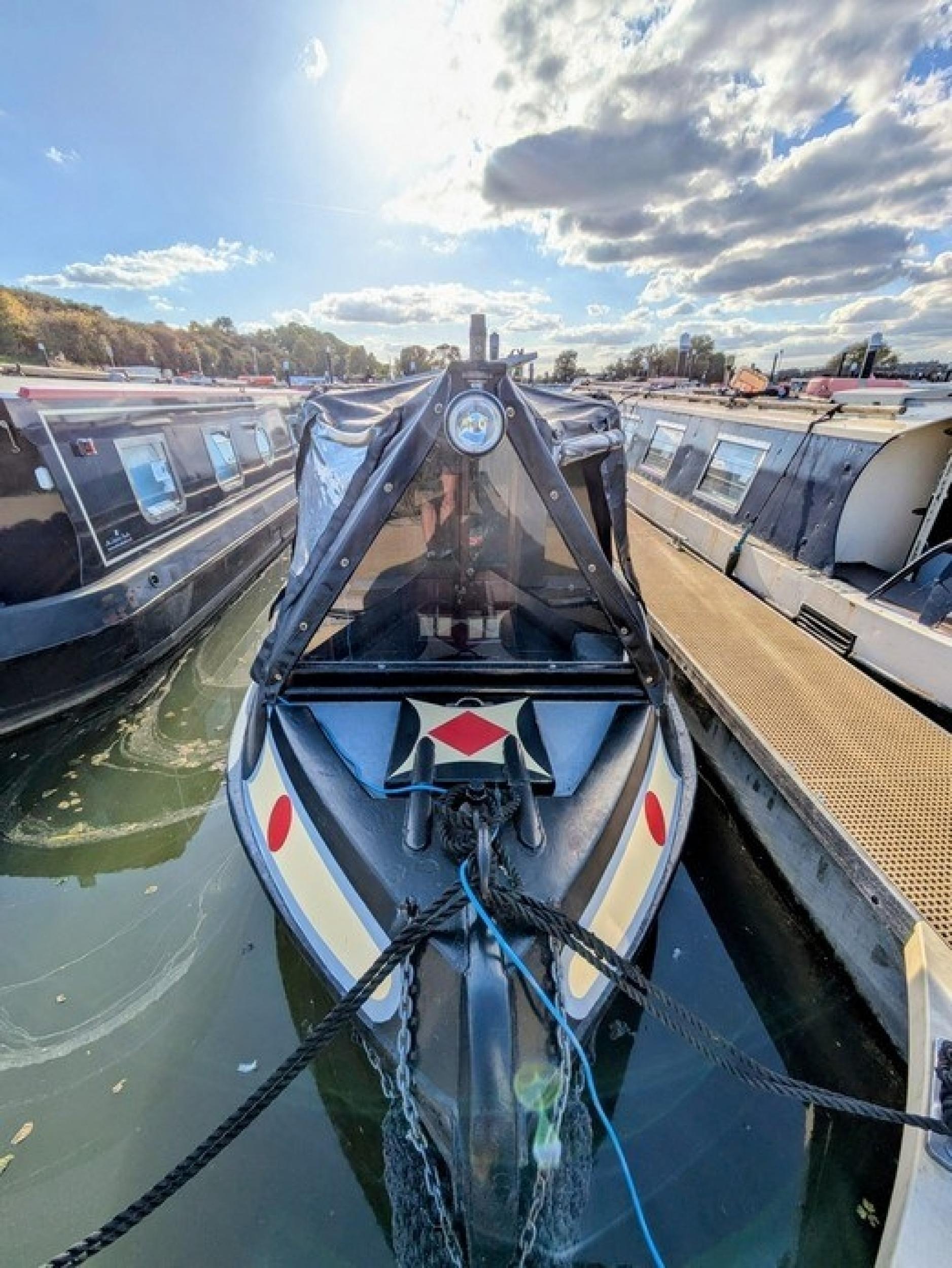 Lizzie B 12