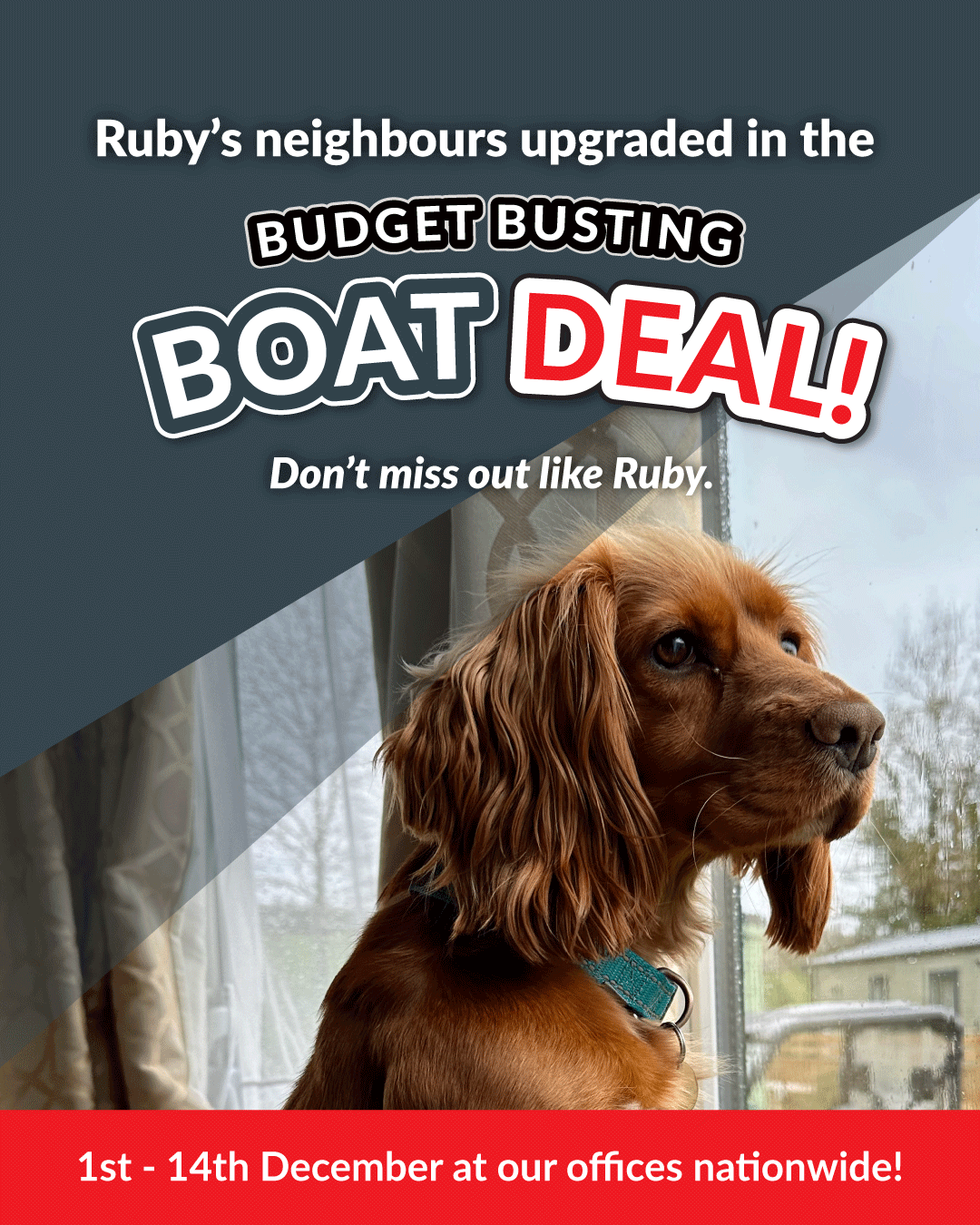 BS Budget Busting Deal graphics V3