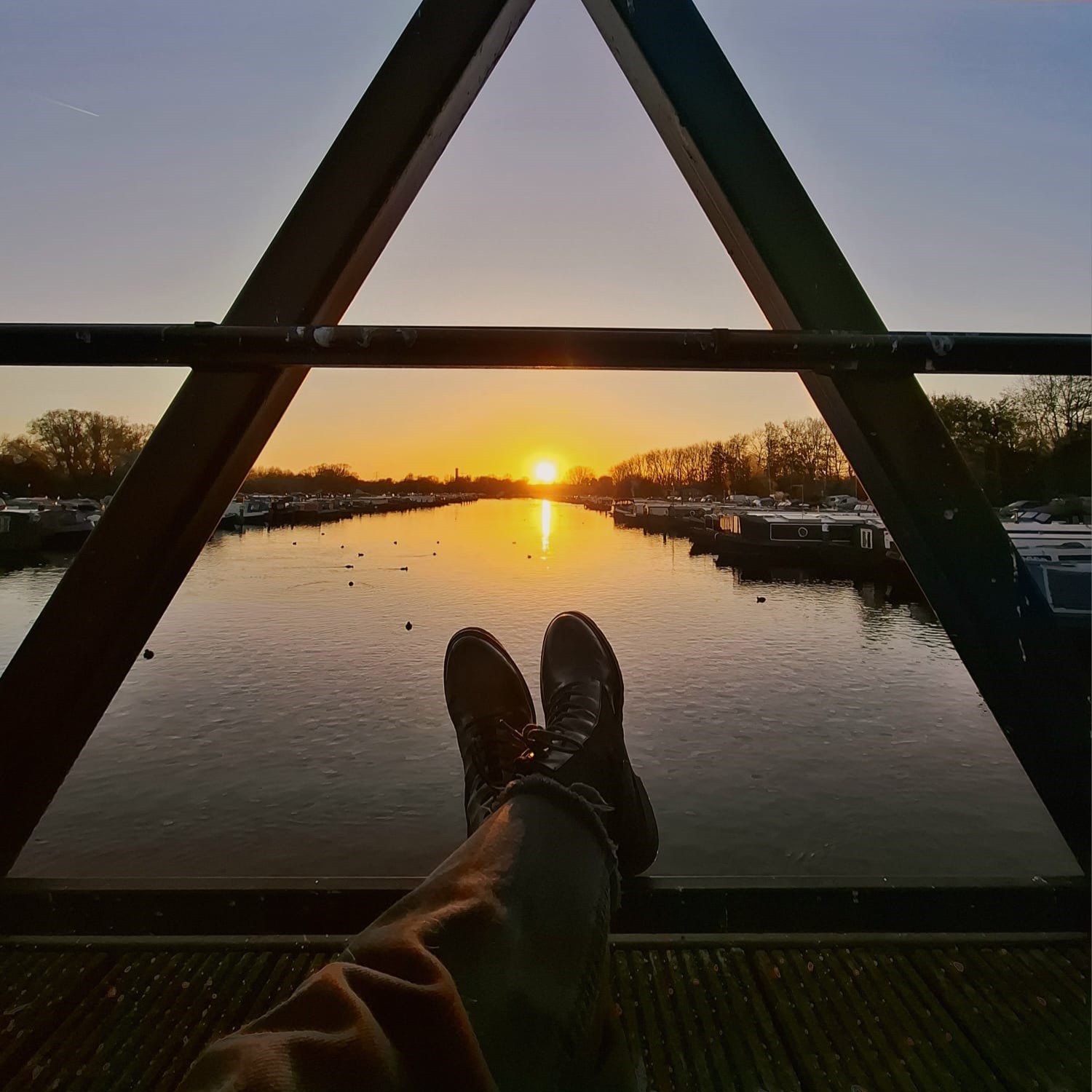 Colicia November 25 1 crop