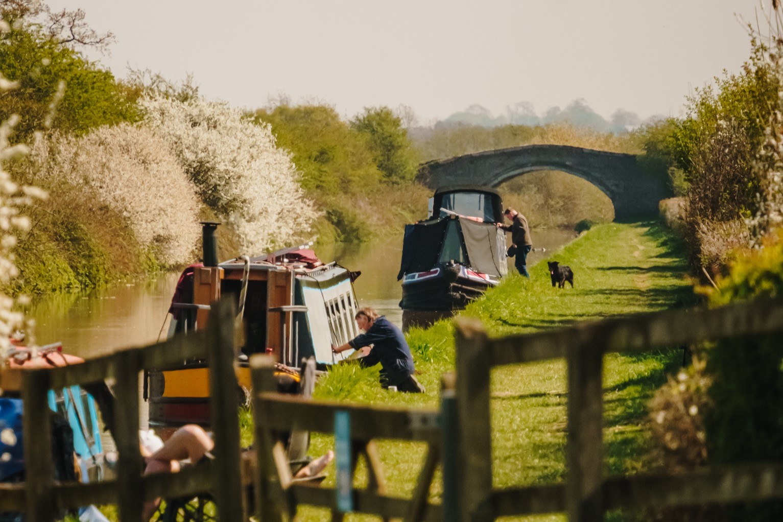 LLE TM GENERAL 00060 LRJ crop