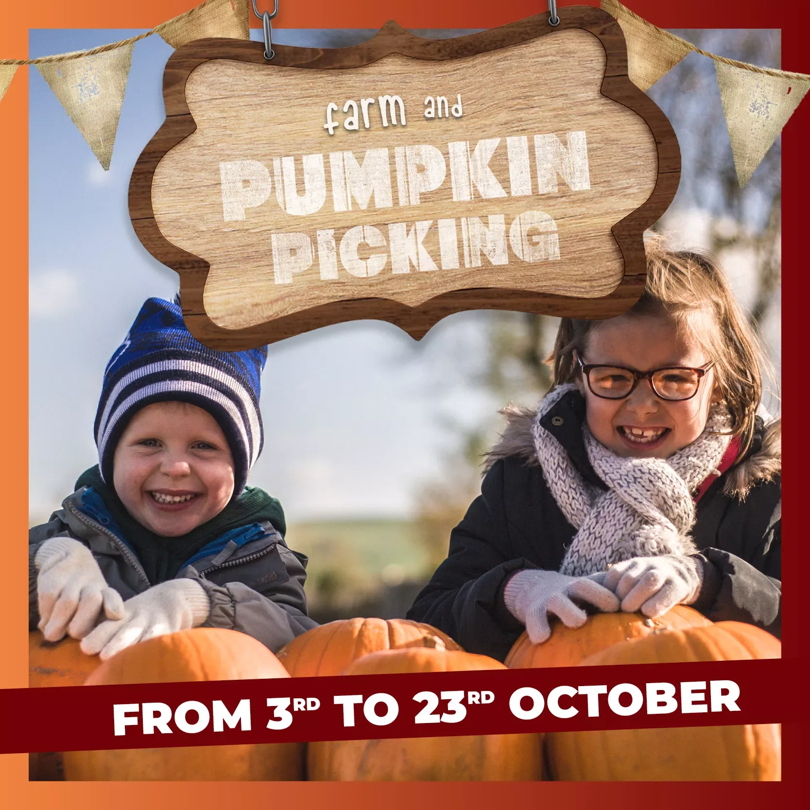 X PML4905 Thornton Hall WEB SQUARE PUMPKIN PICK V1 jpg pagespeed ic j Uqc TT4 UQP