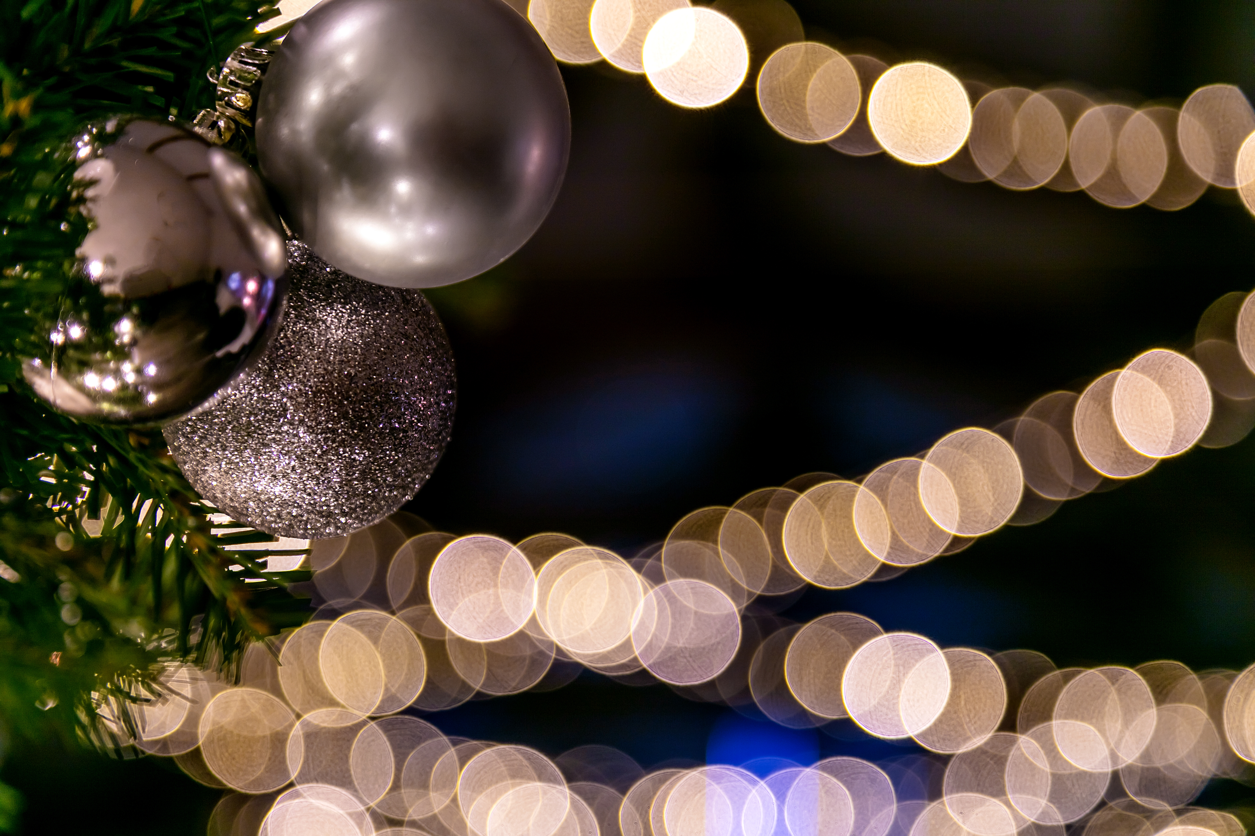 LONG ASHES XMAS 9456