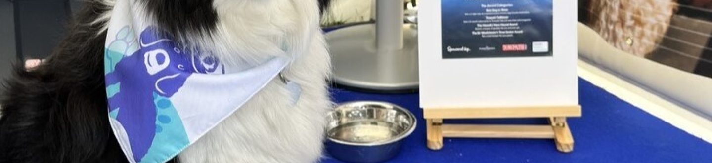 Paws Aboard Dog Awards 2025: Lakeland Leisure Estates Celebrated Canine Companions at Crick Boat Show