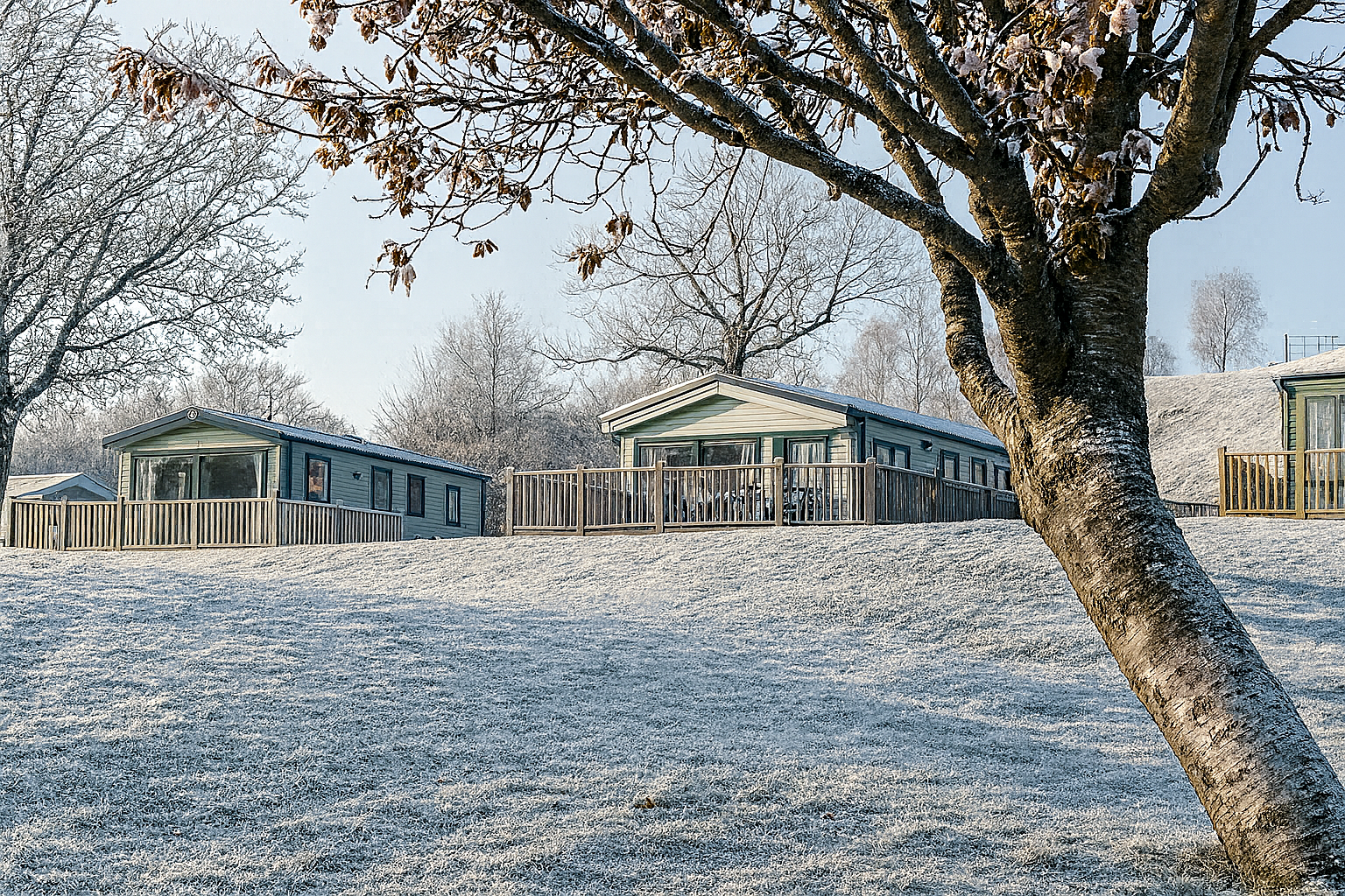 Chat GPT Image Dec 2 2025 11 19 02 AM