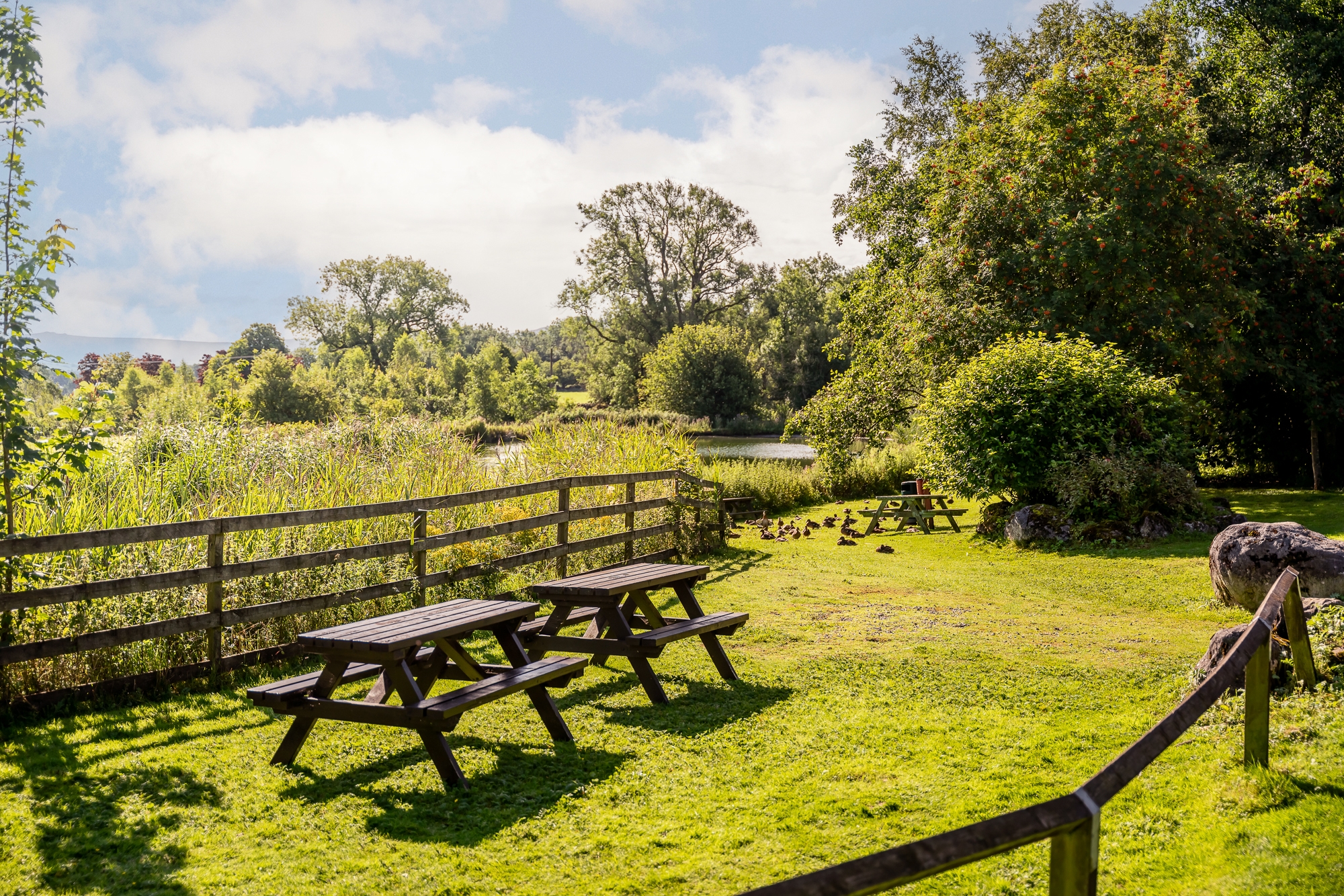LL GI GROUNDS 05136