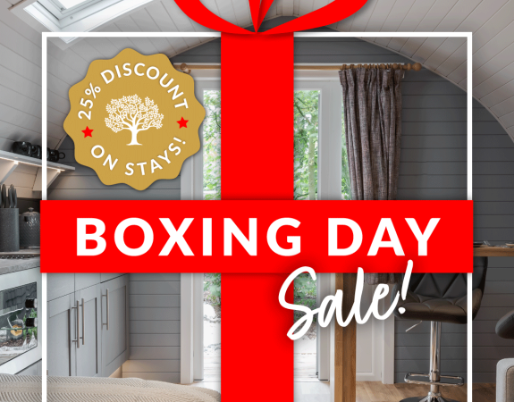 Boxing Day25 Accommodation Socials LA PODS