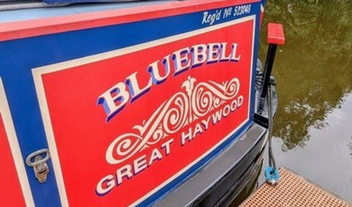 Bluebell 25