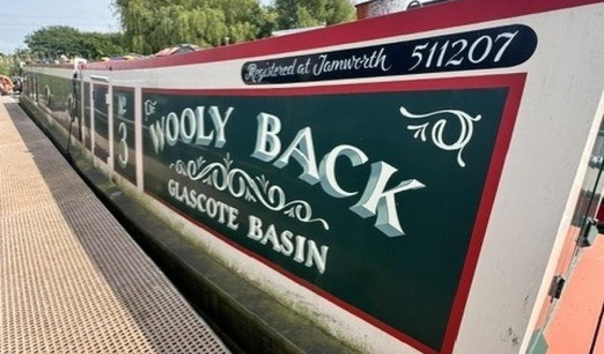 Wooly back 1