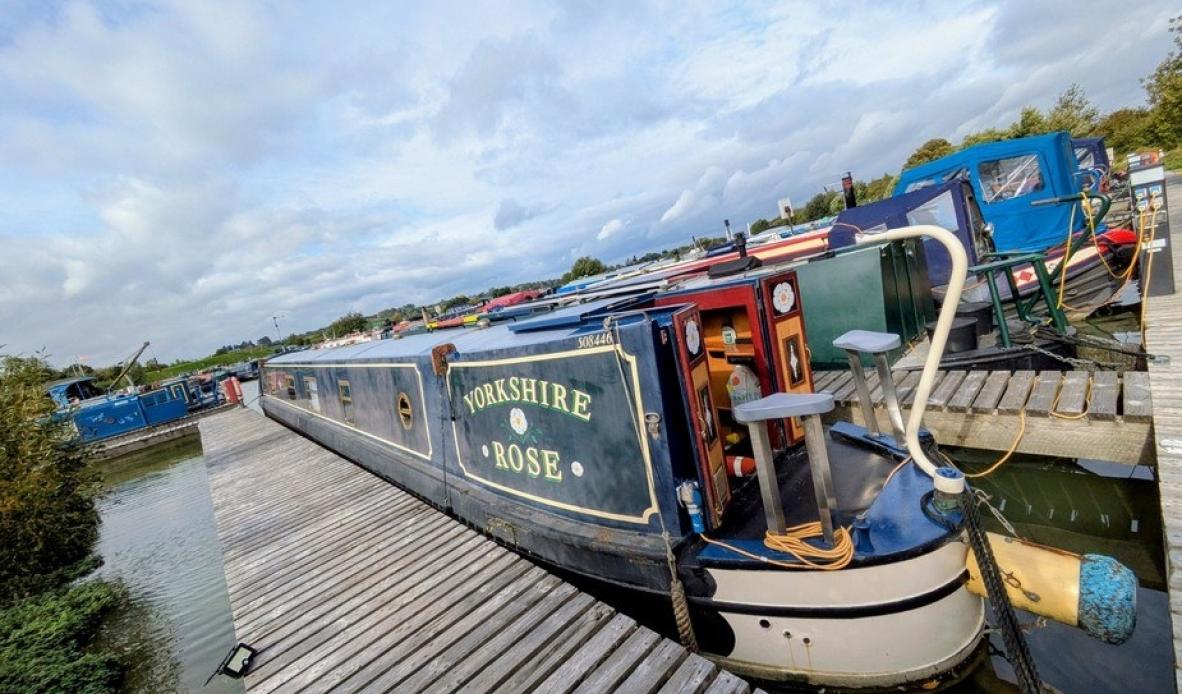 Yorkshire rose ch 36