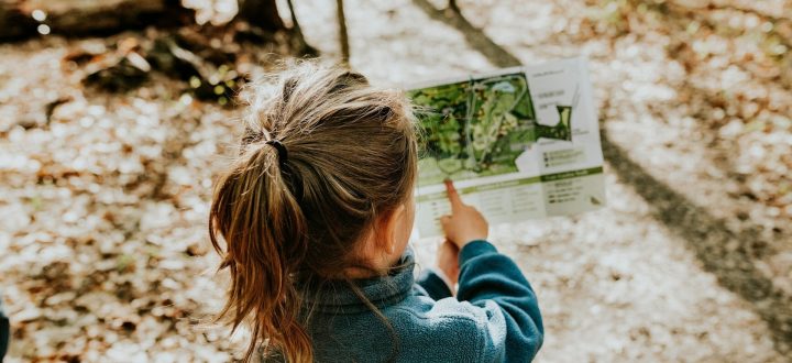 The Ultimate Guide to Family Days Out in the Yorkshire Dales This Summer