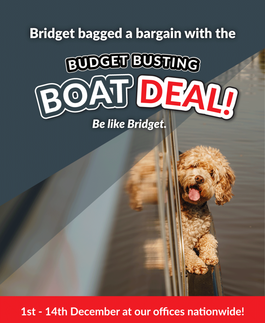 BS Budget Busting sale graphics V1