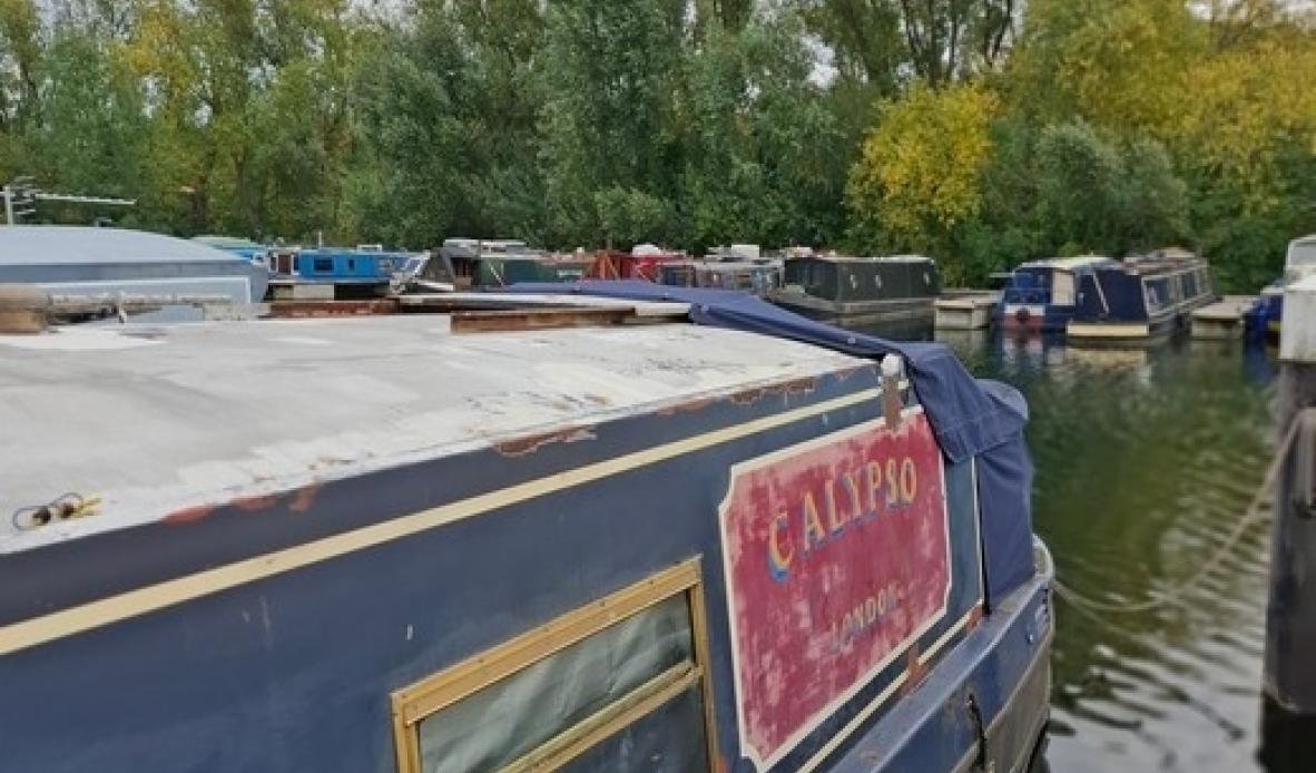 Calypso 47