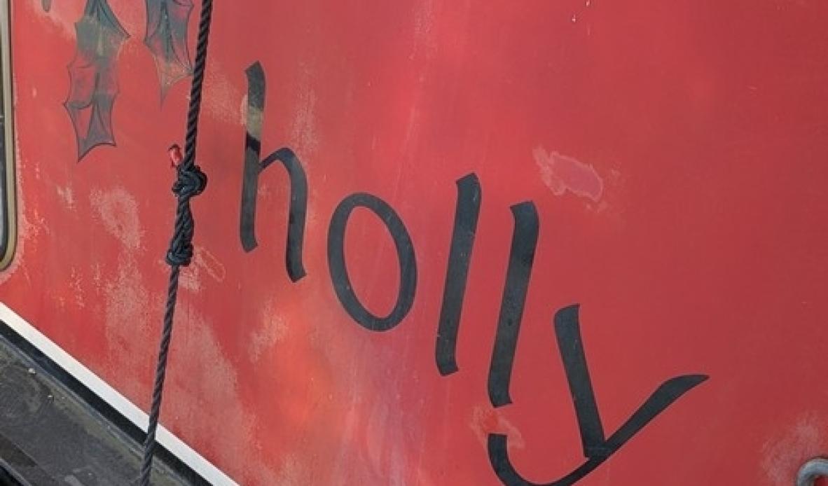 Holly 41
