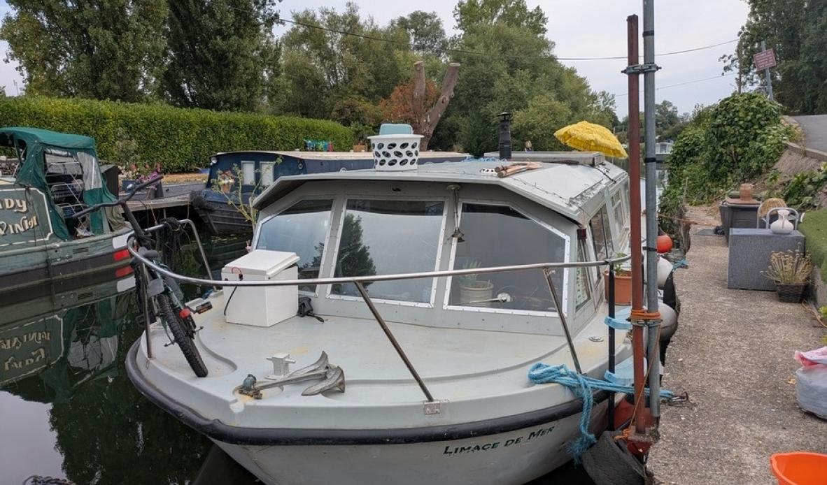 Limace de mer 22