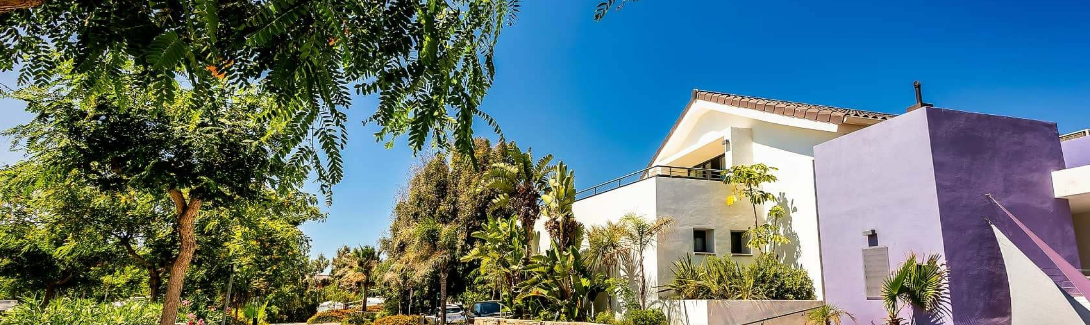 Bella Vista Meet Team section1