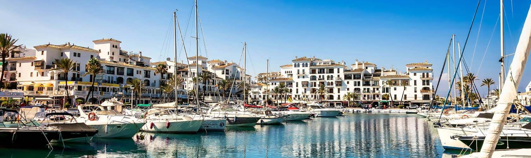 Bella Vista Meet Team section2