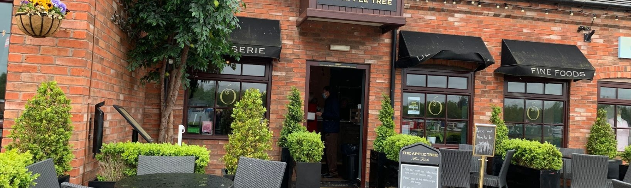 0 210521 Apple Tree 17jpeg