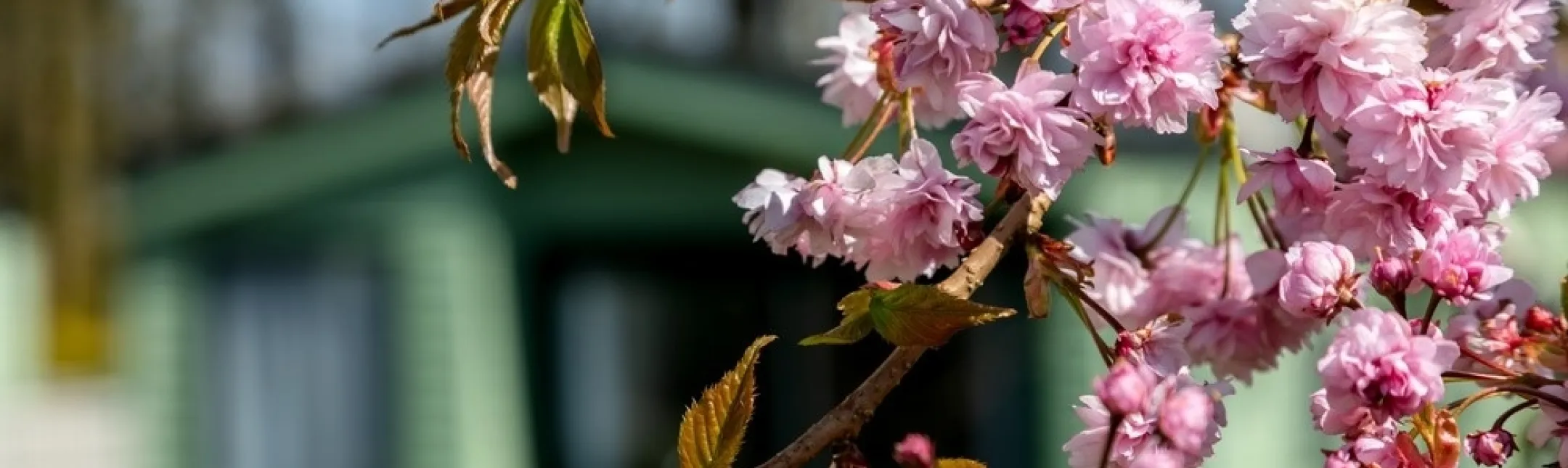 LA PHOTOGRAPHY Low res 040