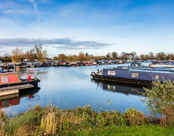 LLE Stay With Us Saul Junction