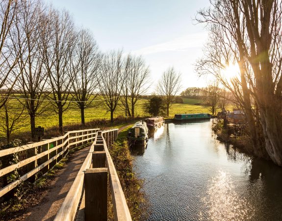 Rmv Park   Grounds 19